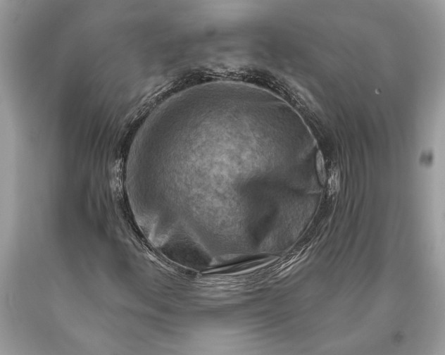 X0000093471156200710261036