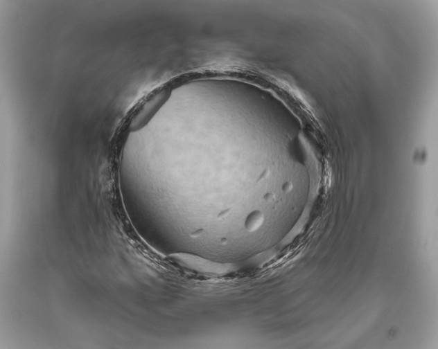 X0000093471160200710261036