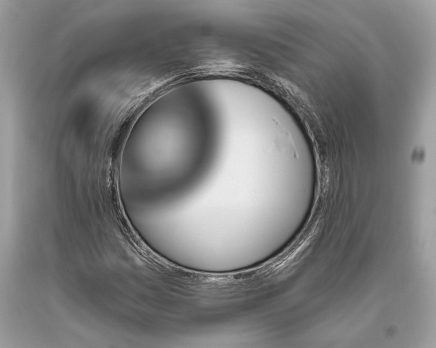 X0000093471161200710261036