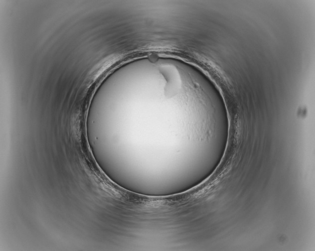 X0000093471162200710261036