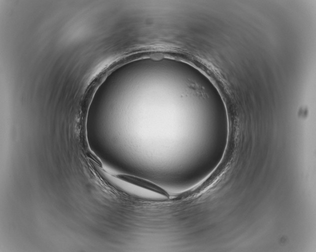 X0000093471163200710261036