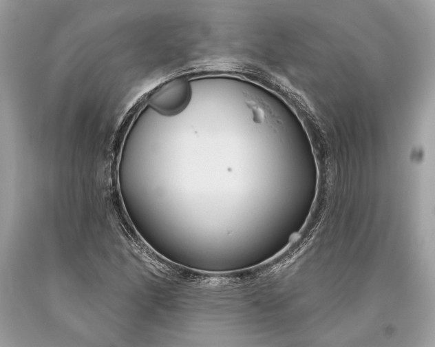 X0000093471166200710261036