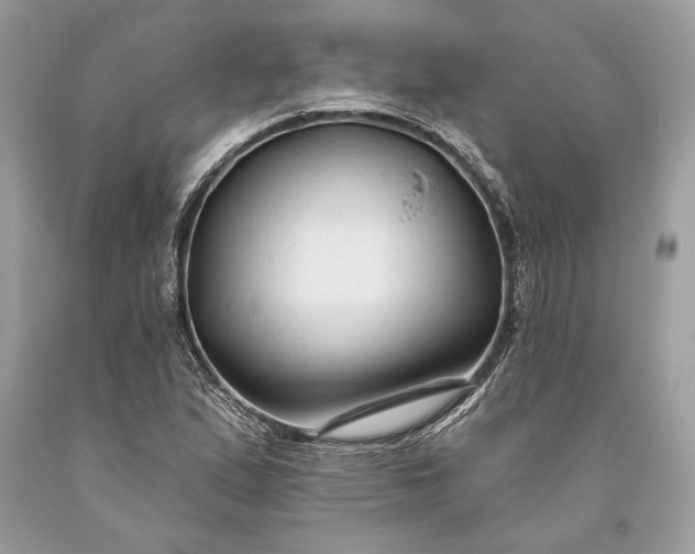 X0000093471167200710261036