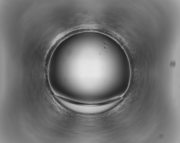 X0000093471168200710261036