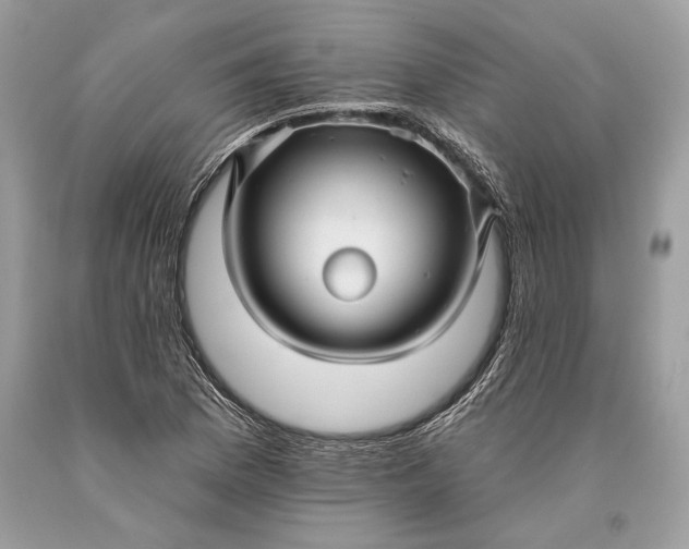 X0000093471169200710261036