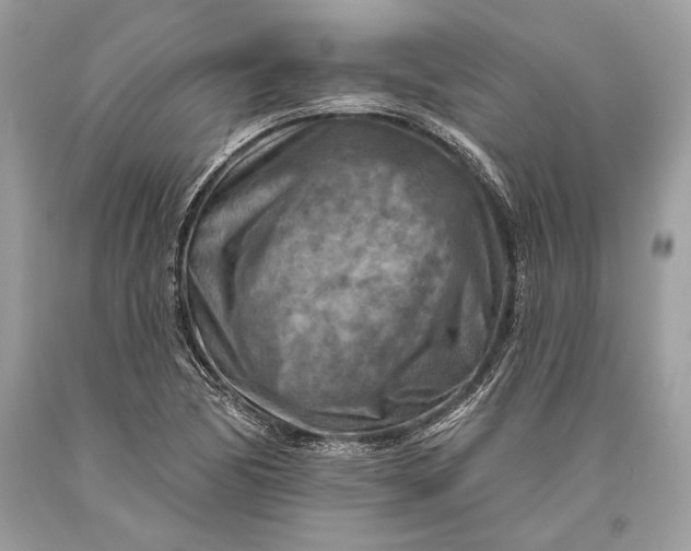 X0000093471170200710261036