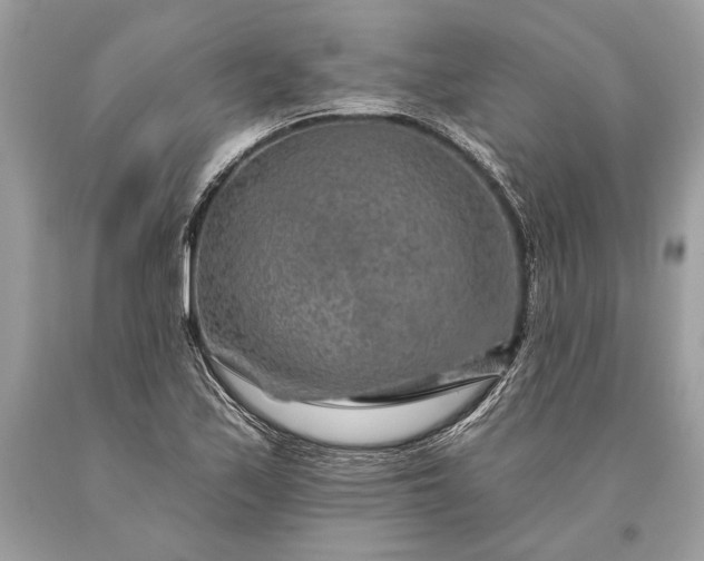 X0000093471171200710261036