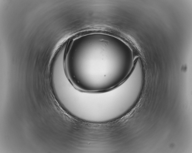 X0000093471172200710261036