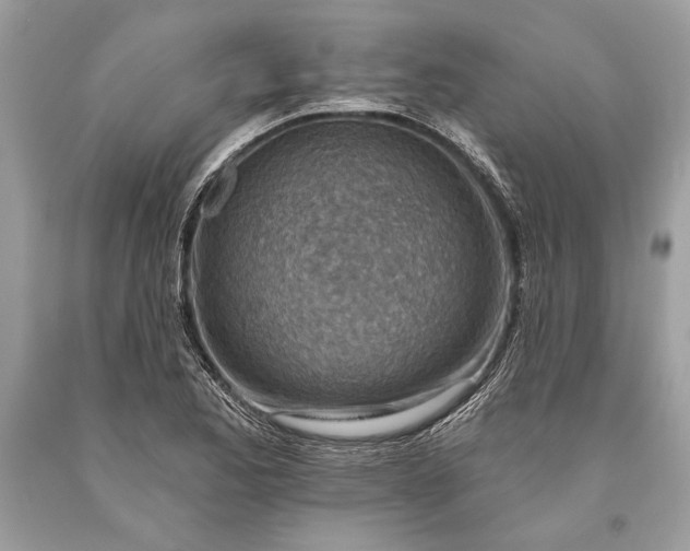 X0000093471173200710261036