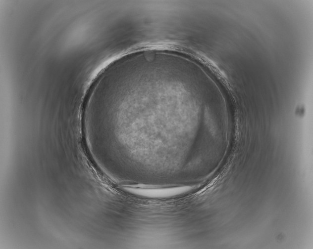 X0000093471174200710261036