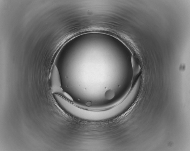 X0000093471177200710261036