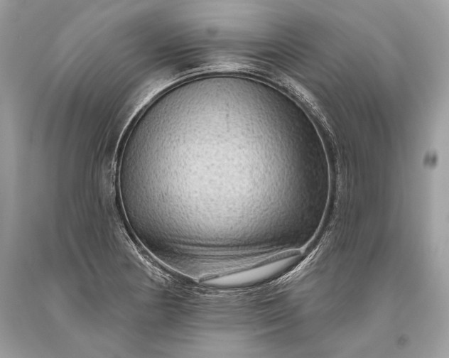 X0000093471178200710261036