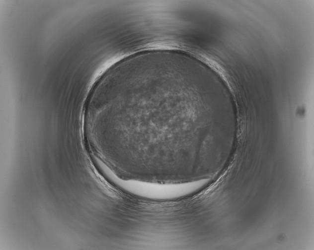 X0000093471179200710261036