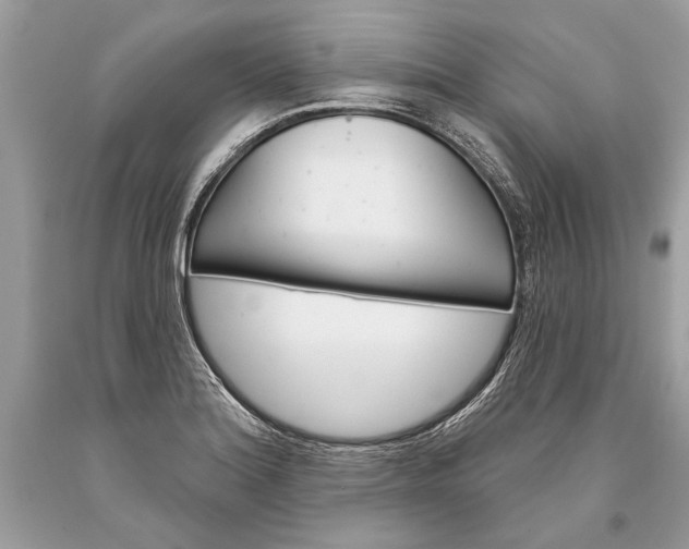 X0000093471180200710261036