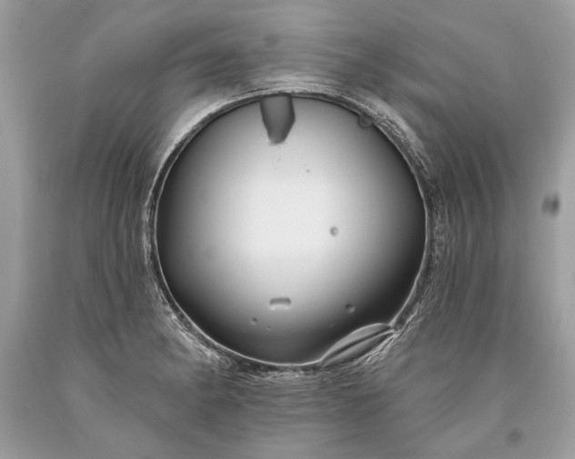 X0000093471182200710261036