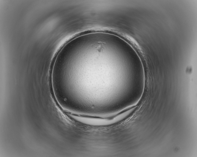 X0000093471183200710261036