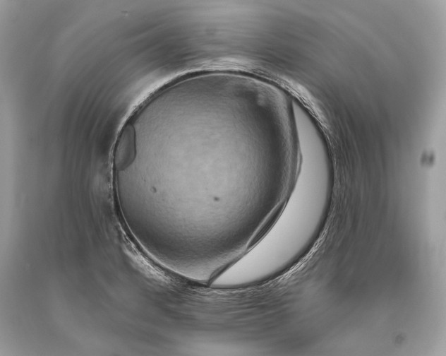 X0000093471184200710261036