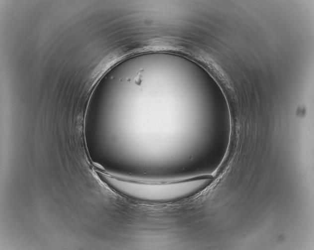 X0000093471185200710261036