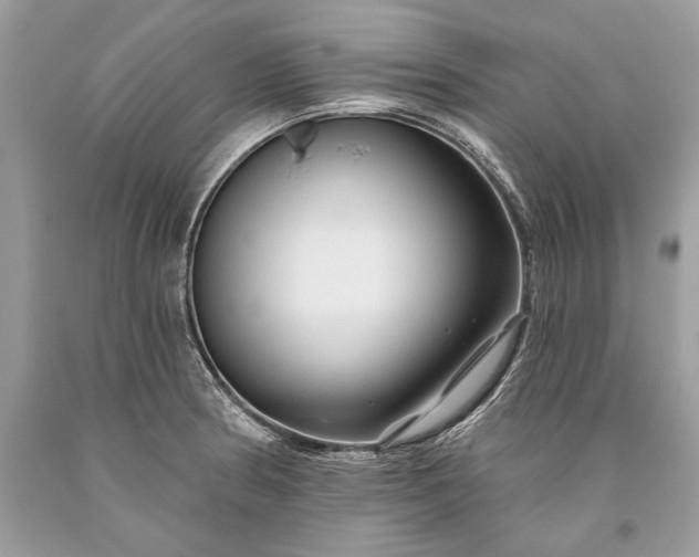 X0000093471186200710261036