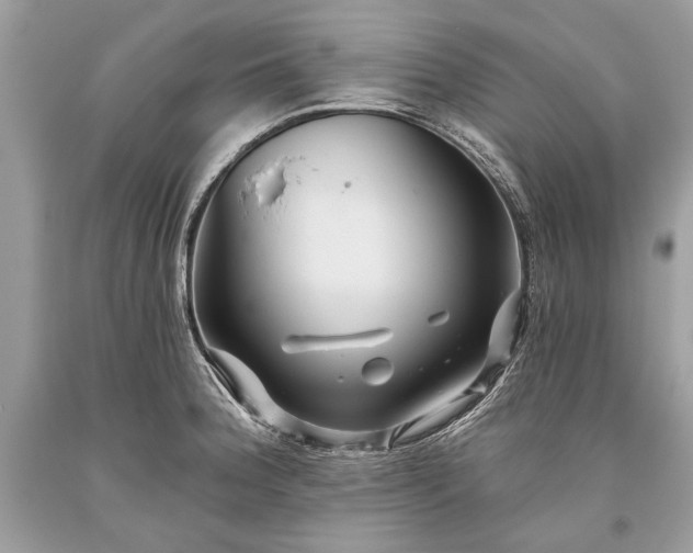 X0000093471188200710261036