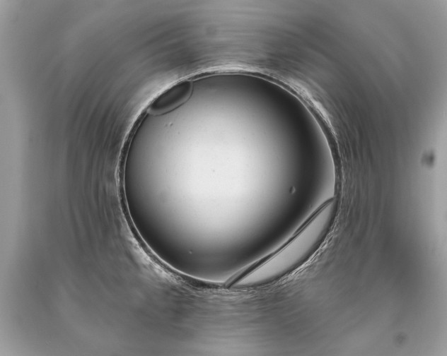 X0000093471189200710261036