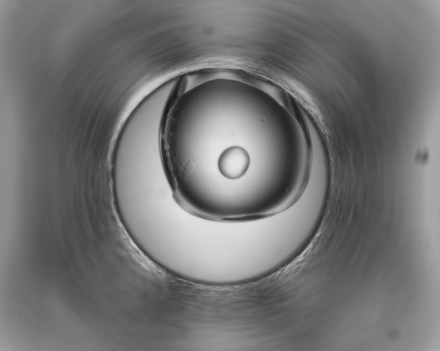 X0000093471192200710261036