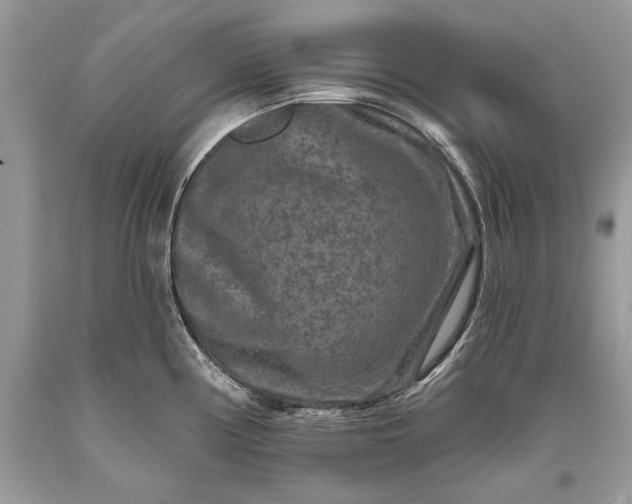 X0000093471194200710261036