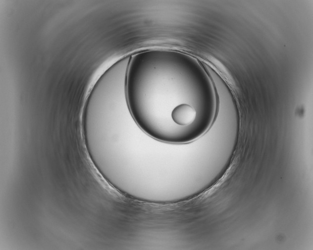 X0000093471196200710261036