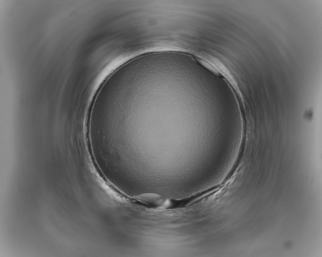 X0000093471197200710261036