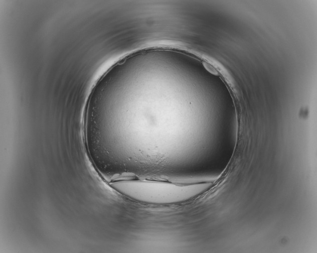 X0000093471199200710261036