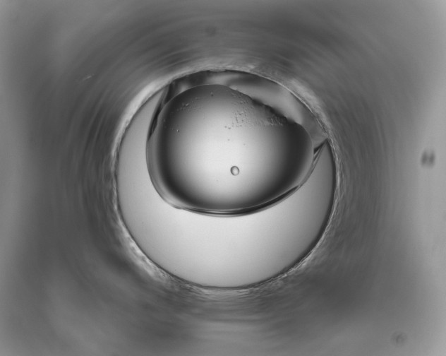 X0000093471200200710261036