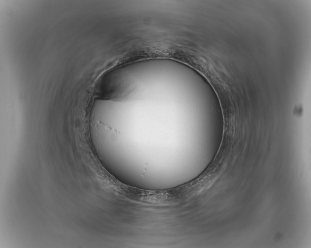 X0000093471201200710261035