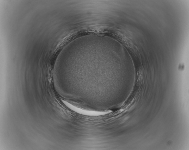 X0000093471202200710261035