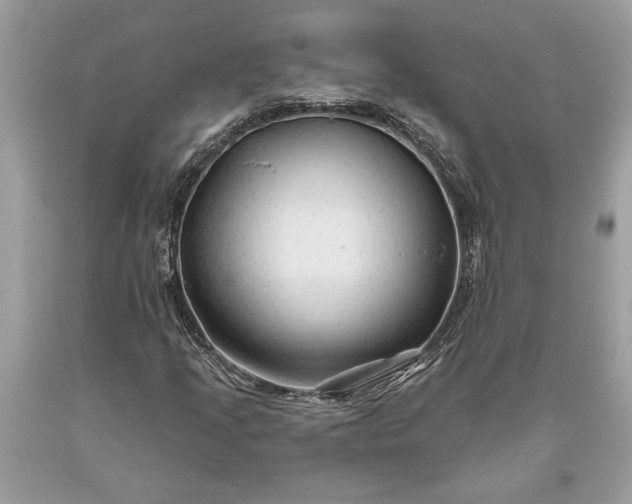 X0000093471205200710261035