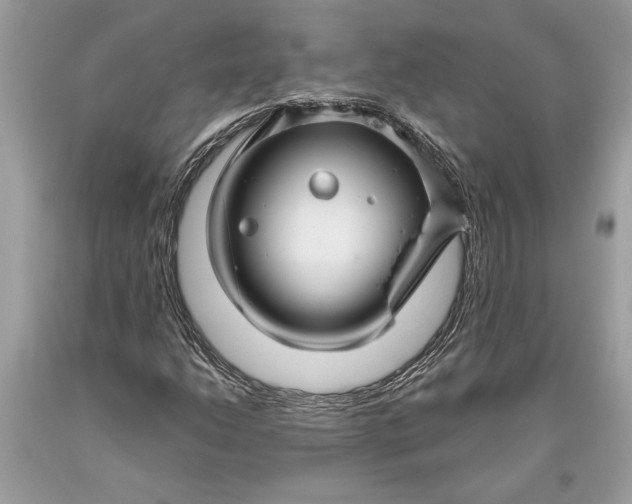 X0000093471206200710261035