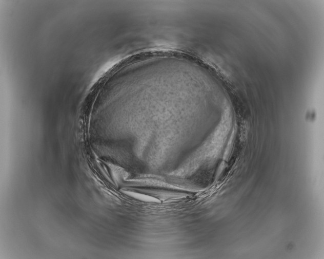 X0000093471208200710261035