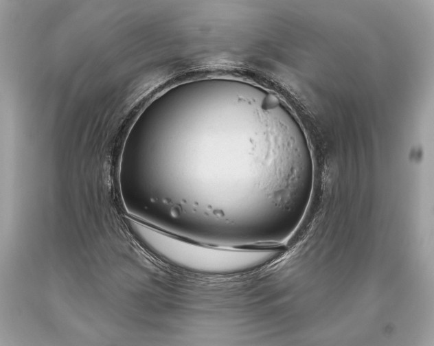 X0000093471209200710261035