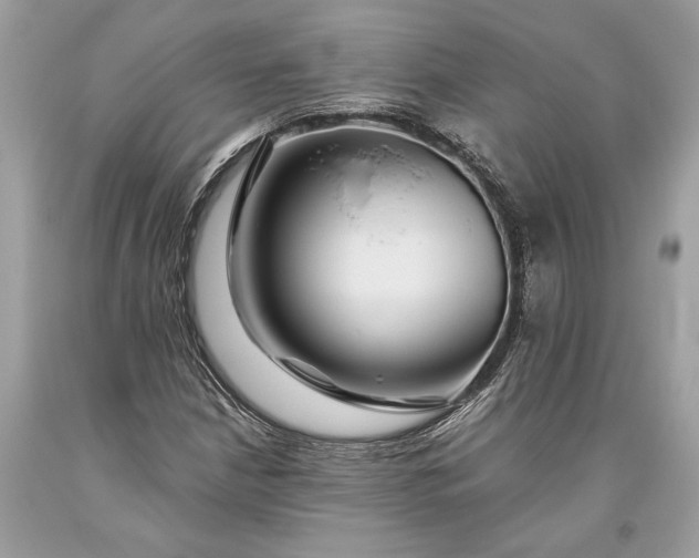 X0000093471210200710261035