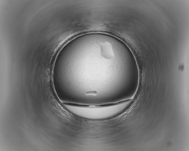 X0000093471212200710261035