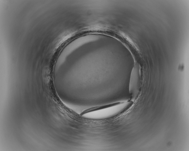 X0000093471213200710261035