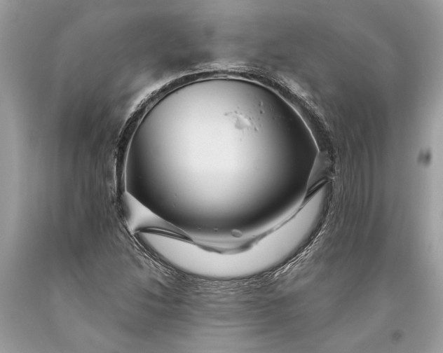 X0000093471214200710261035