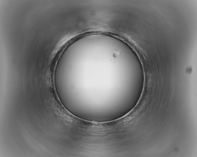 X0000093471215200710261035