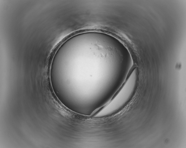 X0000093471216200710261035