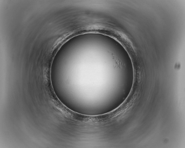 X0000093471217200710261035