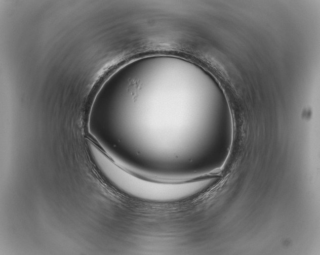 X0000093471218200710261035