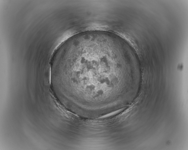 X0000093471219200710261035