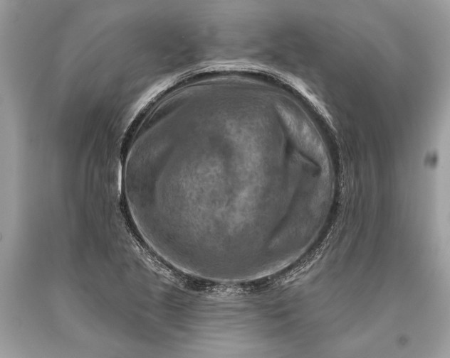 X0000093471221200710261035