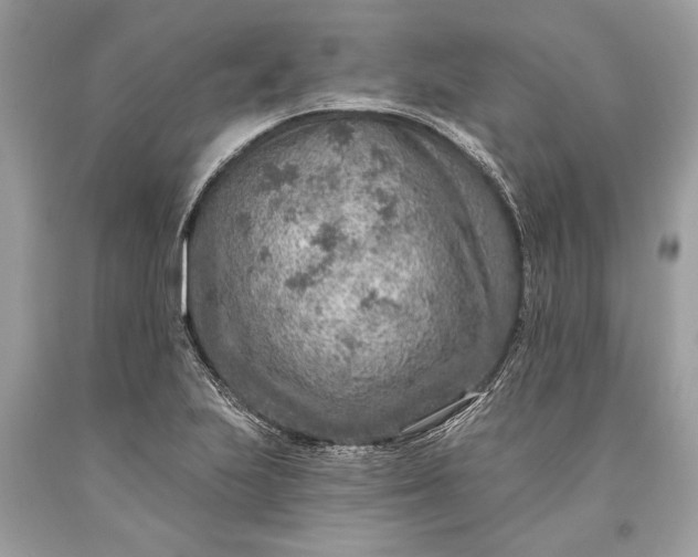 X0000093471223200710261035