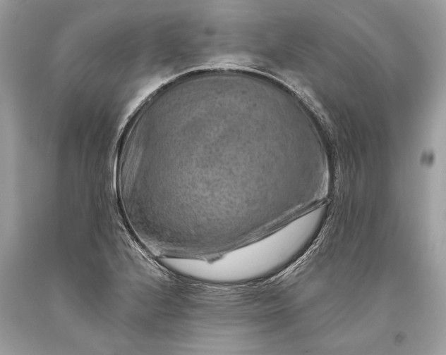 X0000093471224200710261035