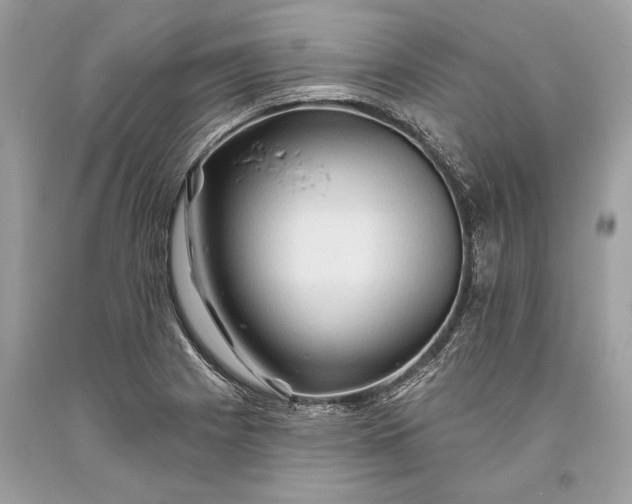 X0000093471225200710261035